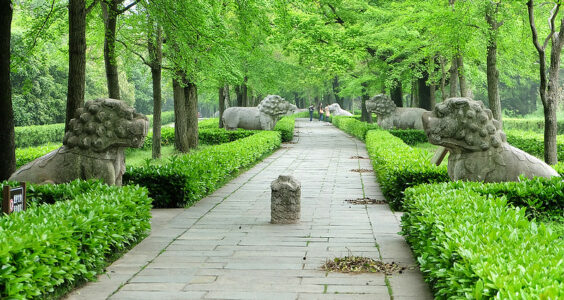 Photo: 南京-明孝陵, by Jinning Zhang
