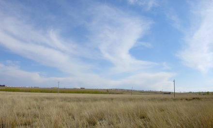 Photo: 希拉穆仁草原 [Xilamuren Grassland, Inner Mongolia], by Frank Wang