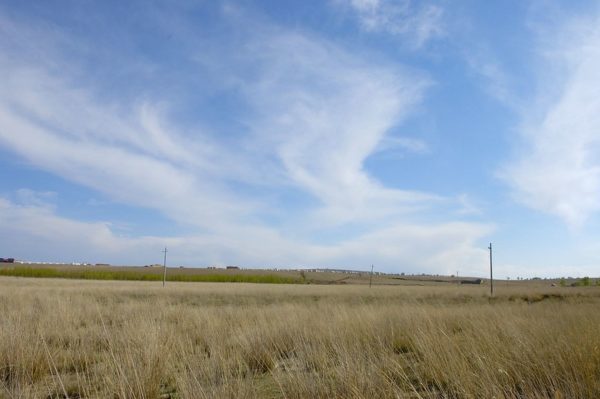 Photo: 希拉穆仁草原 [Xilamuren Grassland, Inner Mongolia], by Frank Wang