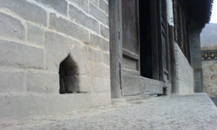 Photo: 猫洞, by Wing