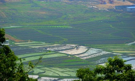 Photo: 瑞丽美景-“梯田风光” (Ruili Rice Terraces), by llee_wu