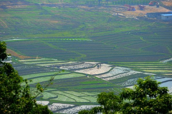 Photo: 瑞丽美景-“梯田风光” (Ruili Rice Terraces), by llee_wu