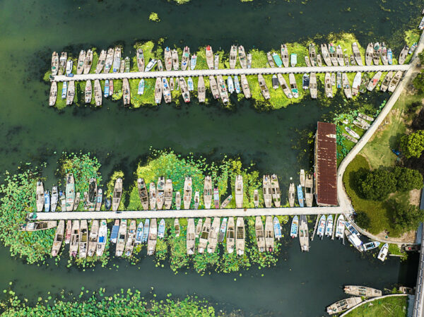 An aerial view of two long, narrow docks in Yangcheng village, Jiangsu province, crowded with small boats and surrounded by exuberant pale green water plants.