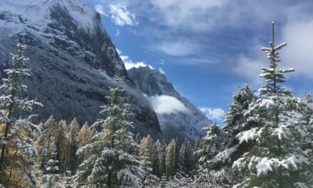 Photo: 雙橋溝風景區 四姑娘山 (Four Sisters Mountain, Sichuan), by Emmanuel.lee