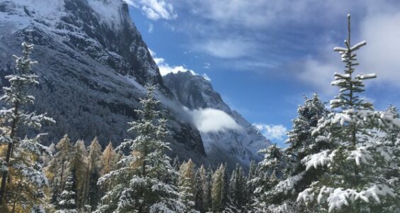 Photo: 雙橋溝風景區 四姑娘山 (Four Sisters Mountain, Sichuan), by Emmanuel.lee