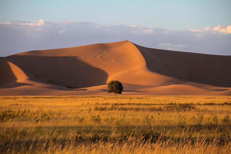 Photo: Inner Mongolia, by Rokkor.G