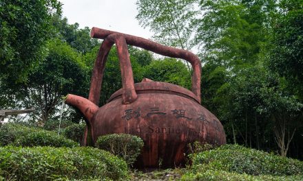 Photo: 87962-Longsheng, by Xiquinho Silva