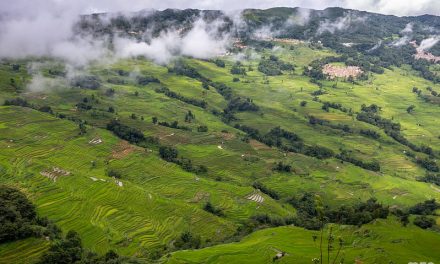 Photo: Rice fields of Yuanyang, by mzagerp