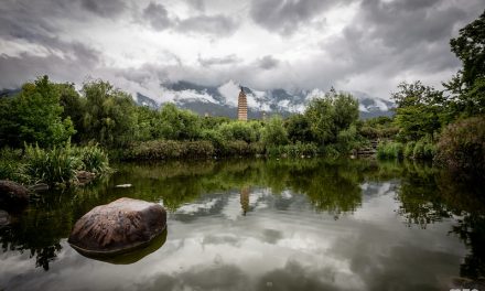 Photo: Three Pagodas Temple, by mzagerp