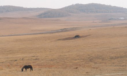 Photo: At Wulanbutong Grassland, by Megan Wong