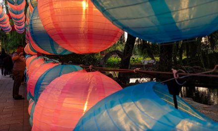 Photo: Yuanmingyuan Park, Beijing, by Mitch Altman