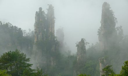 Photo: Untitled (Zhangjiajie), by 郭瑞霖