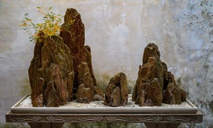 Photo: Untitled (Suzhou), by xiquinhosilva