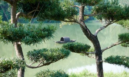 Photo: Untitled, by laurenceputra