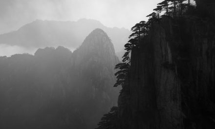 Photo: Lost in the Morning Mist, by Alex Berger