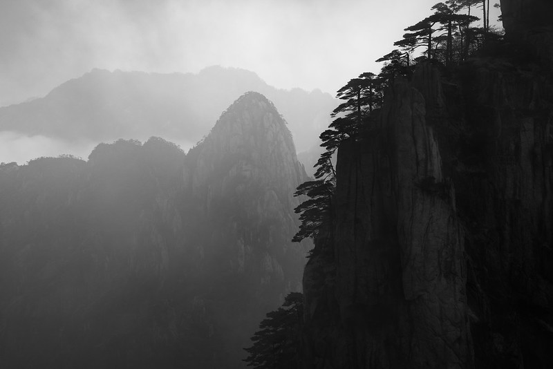 Photo: Lost in the Morning Mist, by Alex Berger
