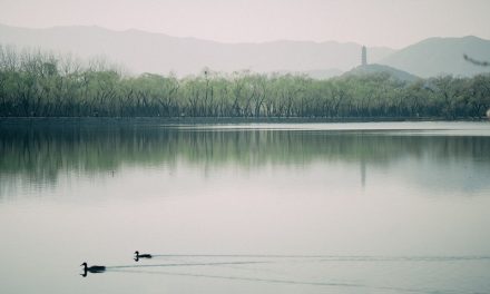 Photo: Spring in Summer Palace, by Megan Wong