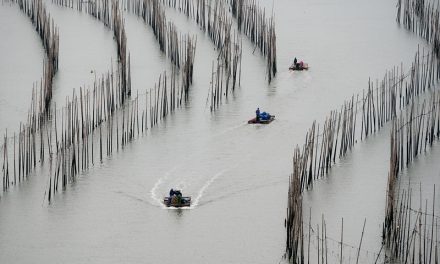 Photo: The Patterns of Xiapu, by Alex Berger