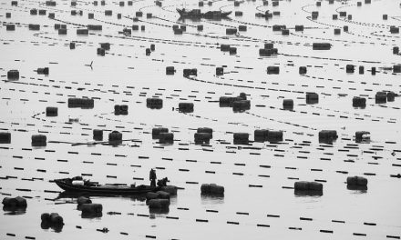 Photo: The Floating Sea Farms of Xiapu, by Alex Berger