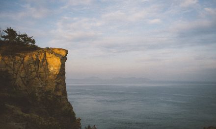 Photo: Untitled, by Megan Wong