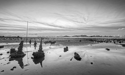 Photo: Pak Nai, Hong Kong, by johnlsl