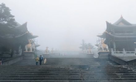 Photo: Untitled (Emeishan), by Jason