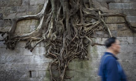 Photo: Untitled (Chongqing), by Penn Leung