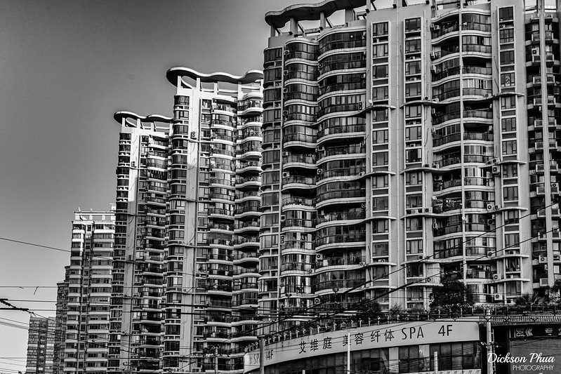 Photo: Cream of the Crop, by Dickson Phua