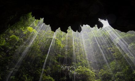 Photo: Avatar Mountains, by Mark Chivers