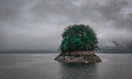 Photo: Qiandao Lake, Zhejiang, by Air Shih