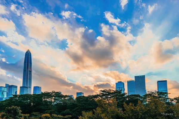 Shenzhen skyline at sunset with trees in foreground