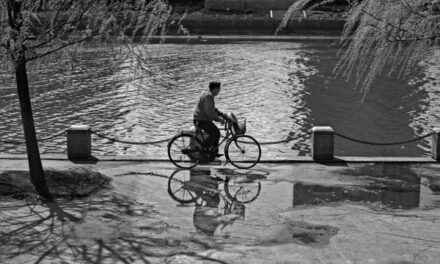 Photo: Untitled, by Stephane Tougard
