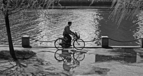 Photo: Untitled, by Stephane Tougard