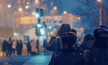 Photo: Snowing, by THOMAS_Y_CHN