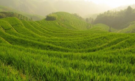 Photo: China, by Martín Justicia