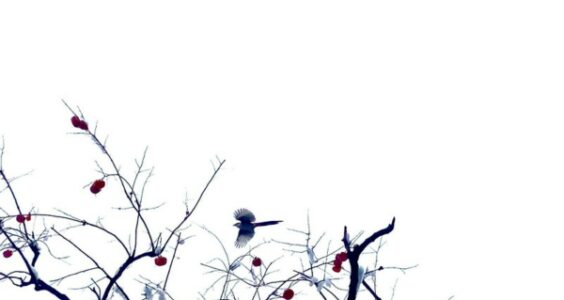 Photo: Beijing, China, by Sunset Noir