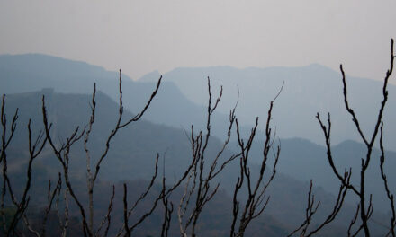 Photo: Blue hills, by Ben Cappellacci