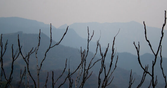 Photo: Blue hills, by Ben Cappellacci