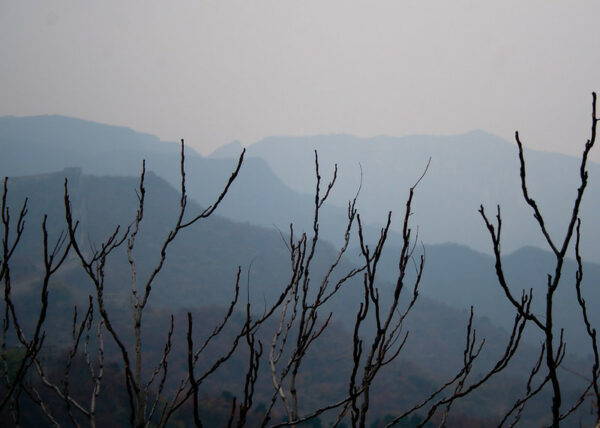 In the foreground, bare branches of trees stand out starkly against a graduated series of misty blue hills that appear to grow fainter as they fade into the distance.