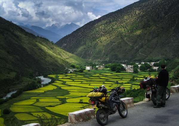Photo: Canola fields, Motorbike Trip Tibet, by Matt Ming