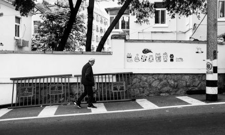 Photo: Cats up, by Gauthier DELECROIX