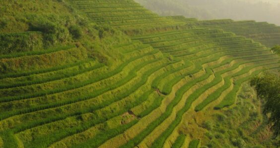 Photo: China, by Martín Justicia