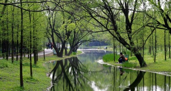 Photo: Untitled (Forest Park Shanghai, China), by sung ming whang