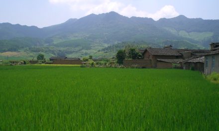 Photo: Fujian 168, by Candice and Jarrett