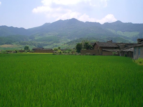 Photo: Fujian 168, by Candice and Jarrett