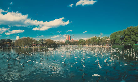 Photo: Untitled (Green-Lake Park, Kunming), by Francoise Gaujour