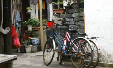 Photo: His & her bikes, by Sabrina & Brad