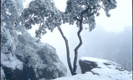 Photo: China/HuangShan/水墨黄山, by bomb_bao