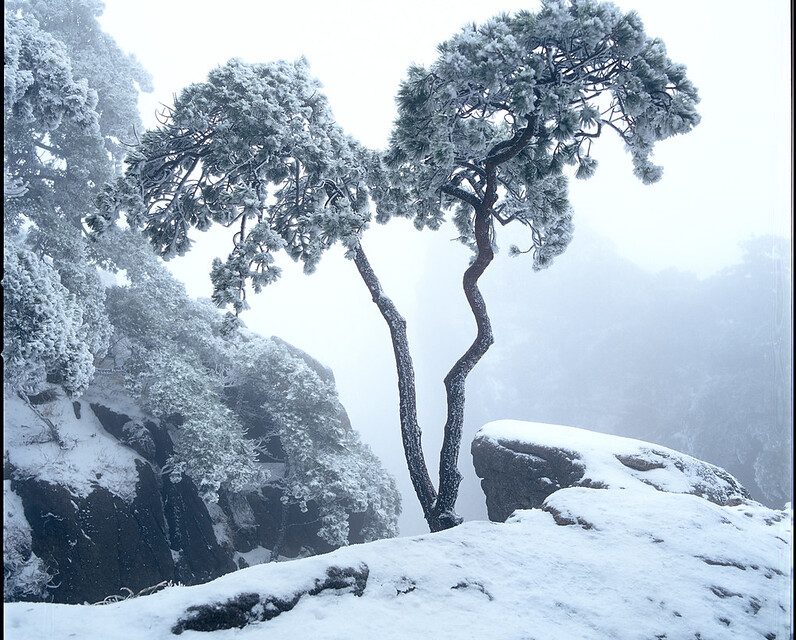 Photo: China/HuangShan/水墨黄山, by bomb_bao