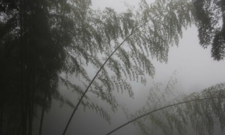 Photo: Jinshan mountain (near Hangzhou), by Bianca Polak